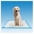 thumbnail image 5 of Disposable Underpads 17'' x 24'' (100-Count) Pads, Bed Covers, Puppy Training | Thick, Super Absorbent Protection for Kids, Adults, Elderly | Liquid, Urine, Accidents, 5 of 7