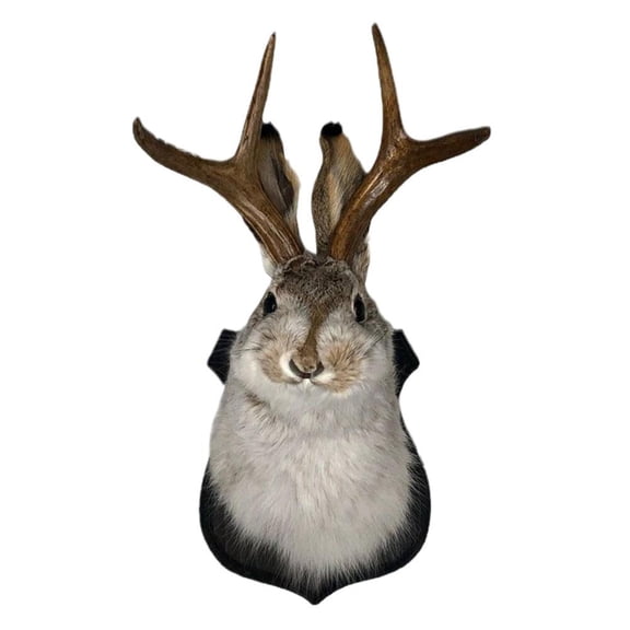 Jackalope Taxidermy Wall Decor, 10-Inch Faux Rabbit Antler Sculpture with Realistic Fur, Mythical Jackalope Head Wall Mount for Home, Office & Cabin Decor, Brown