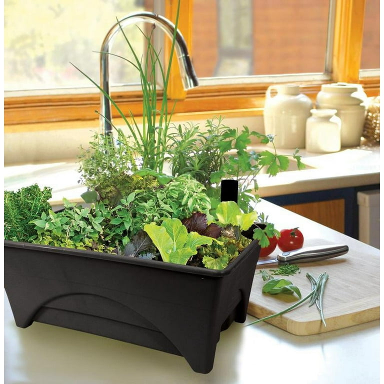 Start Pickin' Raised Bed Grow Box – Self Watering Plant - Herb