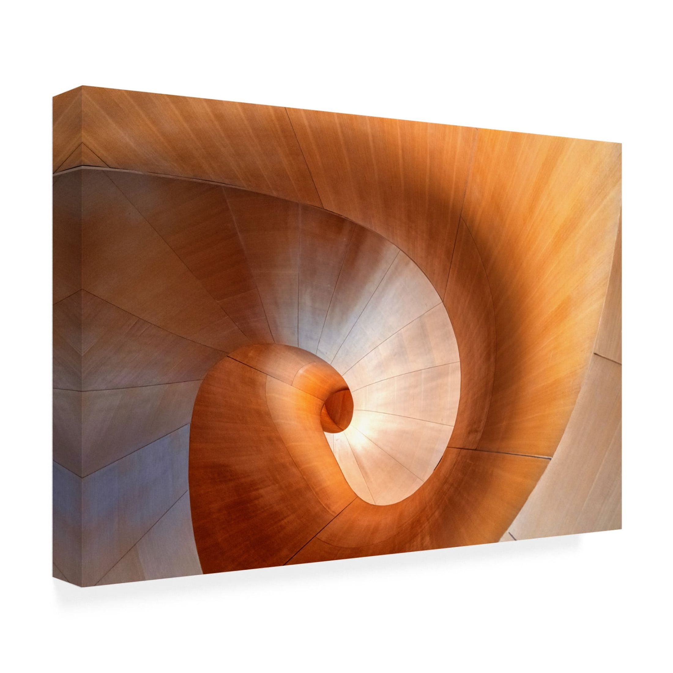 Canvas Wall Art - Louie Luo 'Elephant Nose' Wall Art for Living Room, Bedroom, or Office Décor by Trademark Fine Art - 19 x 12 Inches