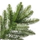 thumbnail image 4 of Árbol de Navidad, abeto Kingswood de National Tree Company, 7.5 pies, 4 of 8