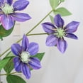 thumbnail image 3 of Flor de Clemátide Artificial Hermosas Plantas de Inicio Vívidas Listas para la Decoración de la Mesa del Florero del Jardín ANGGREK Otros, 3 of 8