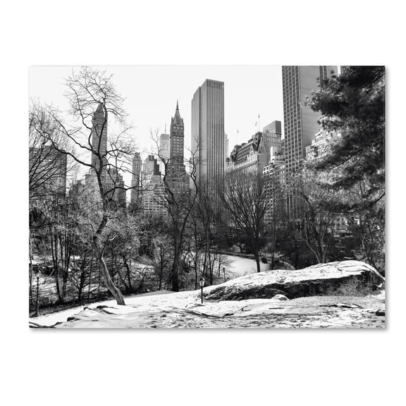 Trademark Fine Art "Central Park" Canvas Art by CATeyes