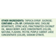 SV Multi 240ct Vegetarian Gummies