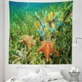 thumbnail image 1 of Starfish Tapestry, Underwater Marine Life with Colorful Sponges and Starfish Surrounded by Seagrass, Fabric Wall Hanging Decor for Bedroom Living Room Dorm, 5 Sizes, Multicolor, by Ambesonne, 1 of 1