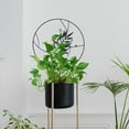 thumbnail image 6 of Moon Phase Trellis Indoor Plant Trellis Climbing Plant Mini Garden Trellis For Potted Plant Houseplant Metal Wire Trellis Pot Trellis, 6 of 9