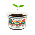 thumbnail image 3 of Watermelon | Fruit Seed Starter Plant Growing Kit | Seeds In A Cup®, 3 of 12