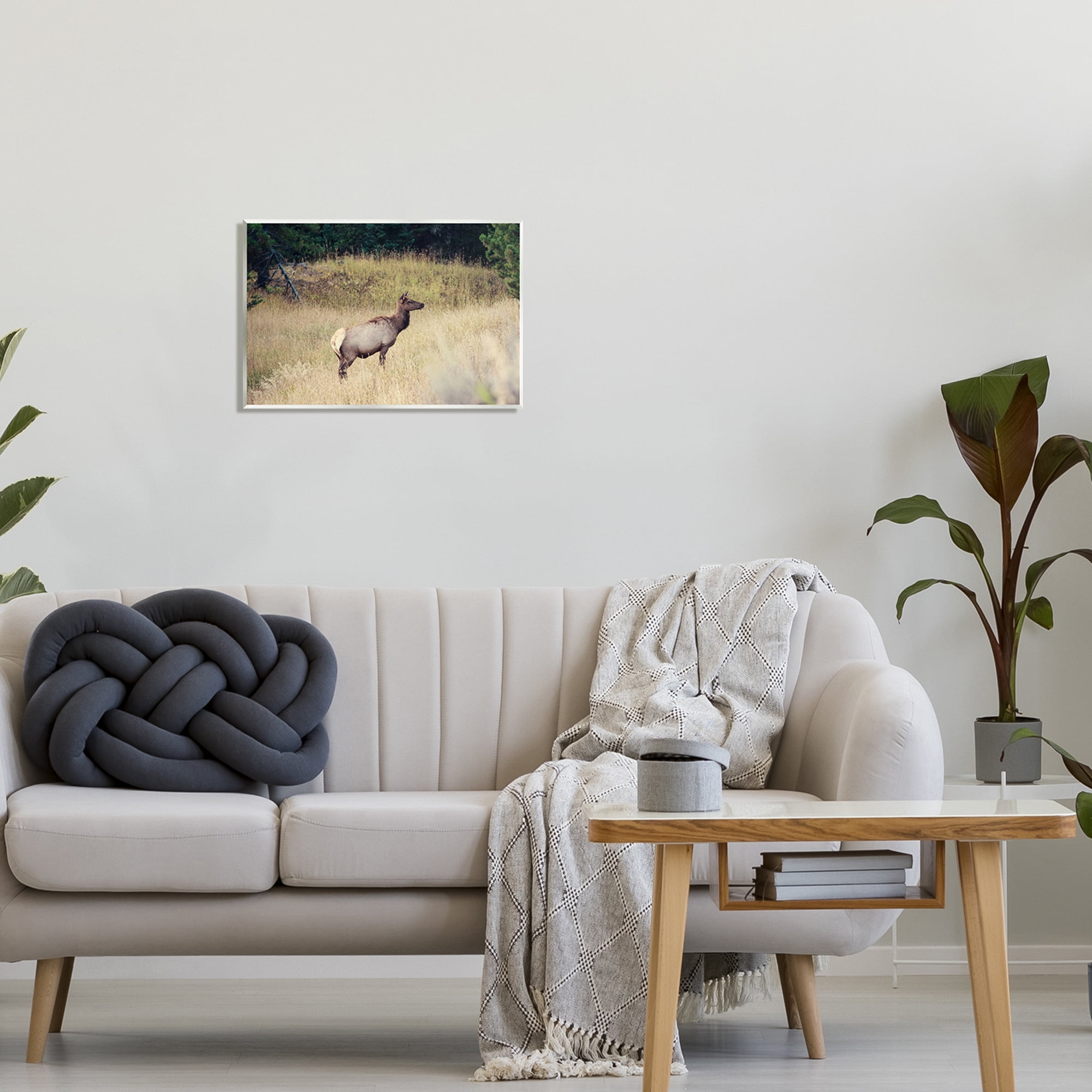 Stupell Wild Elk Nature Grove Photography Animals & Insects Photography Wall Plaque Unframed Art Print Wall Art