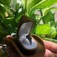 thumbnail image 4 of Cowboy Hat Jewelry Box Jewelry Box Necklace Earrings Princess Hat Ring Box, 4 of 6