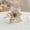 F/Beige, variant on Dvkptbk Christmas Flowers Christmas Glitter Magnolia with Stems Christmas Tree Decorations Flower Wreath Christmas New Year Decoration Holiday Gift Valentines Day Gifts