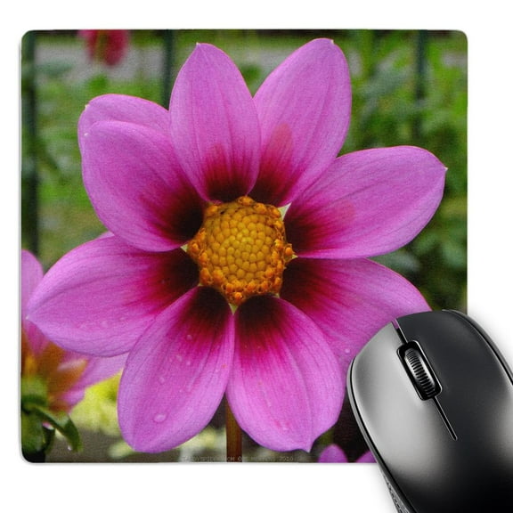 3dRose, Pink Cosmos Flower, MousePad