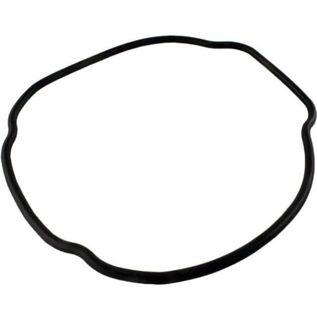 Hayward Housing O-Ring for EcoStar-EcoStar SVRS SPX3200T