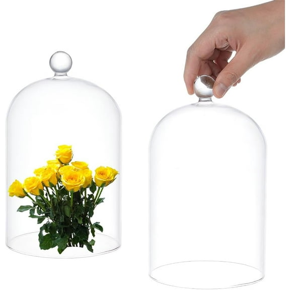Clear Glass Bell Jar 8.26"x4.7" Glass Dome Cloche Collectibles Dome Showcase Decorative Bell Jar with Ball Handle