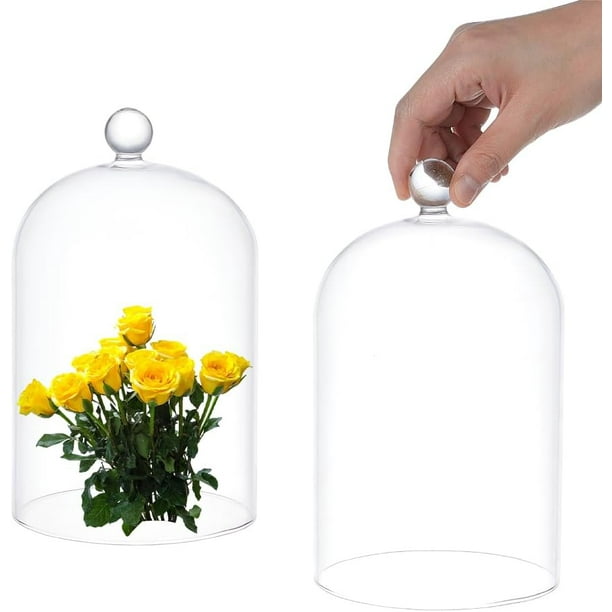 Campana de cristal transparente de 21 x 12 cm (8,26 x 4,7 pulgadas). Cúpula de cristal para coleccionistas. Campana decorativa con asa esférica.