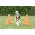 thumbnail image 3 of TRIXIE Dog Agility Hurdle Cone Set, Portable Canine Agility Training Set, 6 Exercise Cones with 3 Agility Rods, 3 of 9