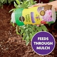 thumbnail image 4 of Miracle-Gro Shake 'n Feed Extended Boost, Plant Fertilizer, Feeds Up to 6 Months, 3 lbs., 4 of 13