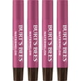 thumbnail image 1 of Burt's Bees Lip Shimmer, Watermelon (Pack of 4), 1 of 14