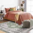 thumbnail image 3 of General Living Room 3x5 Area Rugs - Washable Lightweight Area Rug Stain Resistant Carpet Vintage Soft Rugs for Bedroom Kitchen with Non Slip Backing Home Decor Small Mat 3x5 Sage, 3 of 17
