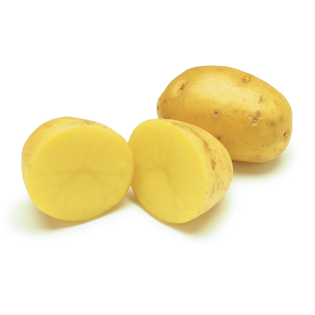 Yukon Gold Potato 2 lbs Seed (Tubers)