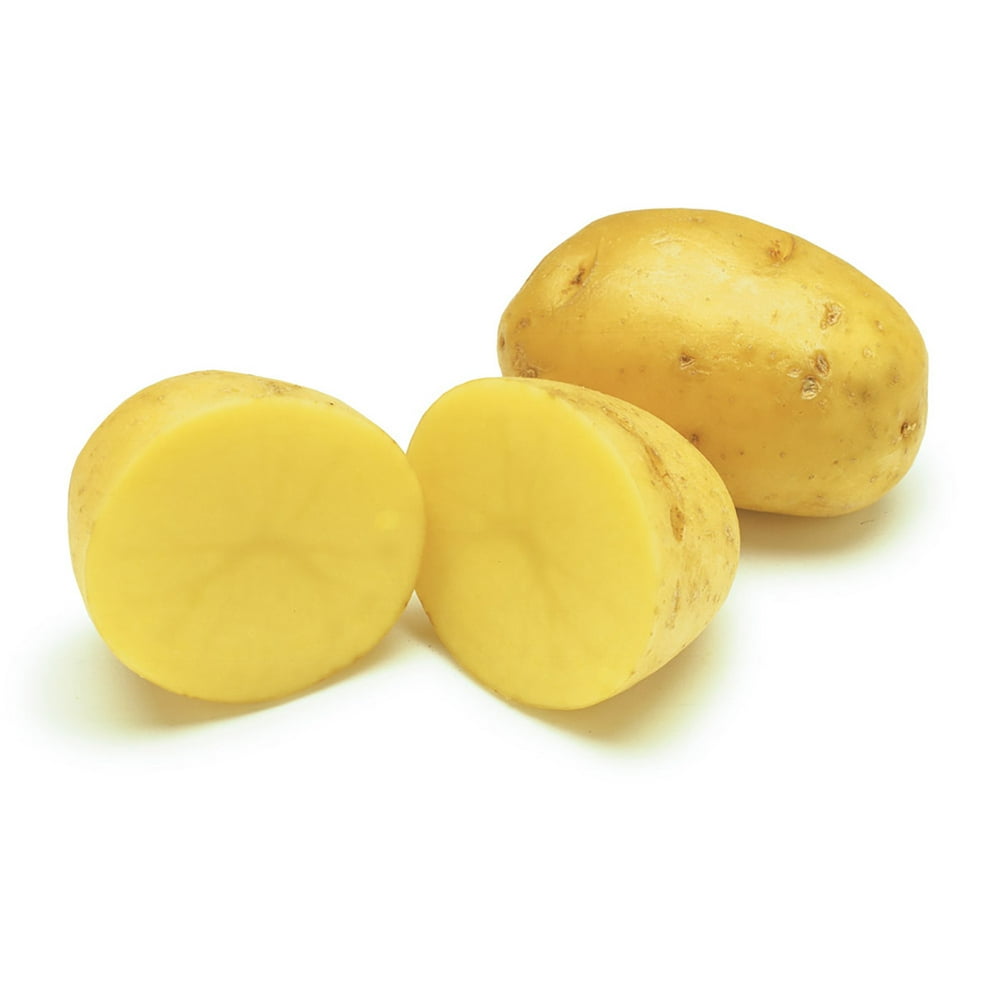 Yukon Gold Potato 2 lbs Seed (Tubers)