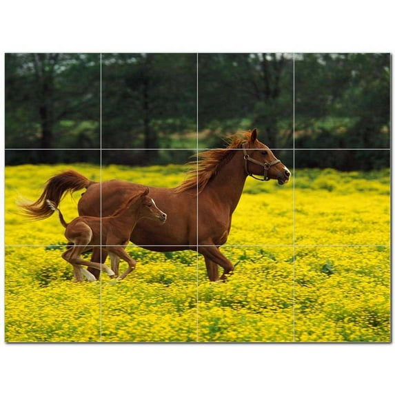 Horse Photo Ceramic Tile Mural Kitchen Backsplash Bathroom Shower 405264-XL43