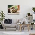 thumbnail image 3 of Stupell Industries Upside Down Cat Portrait Animals & Insects Photography Gallery Wrapped Canvas Art Print Wall Art, 40 x 30, 3 of 8