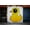 Unframed, variant on Art.com Yellow Duck on Brick Wall in Brooklyn NY Photo, 36" x 24"