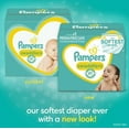 thumbnail image 2 of Pampers Swaddlers Diapers Size Newborn, 31 Count, 2 of 3
