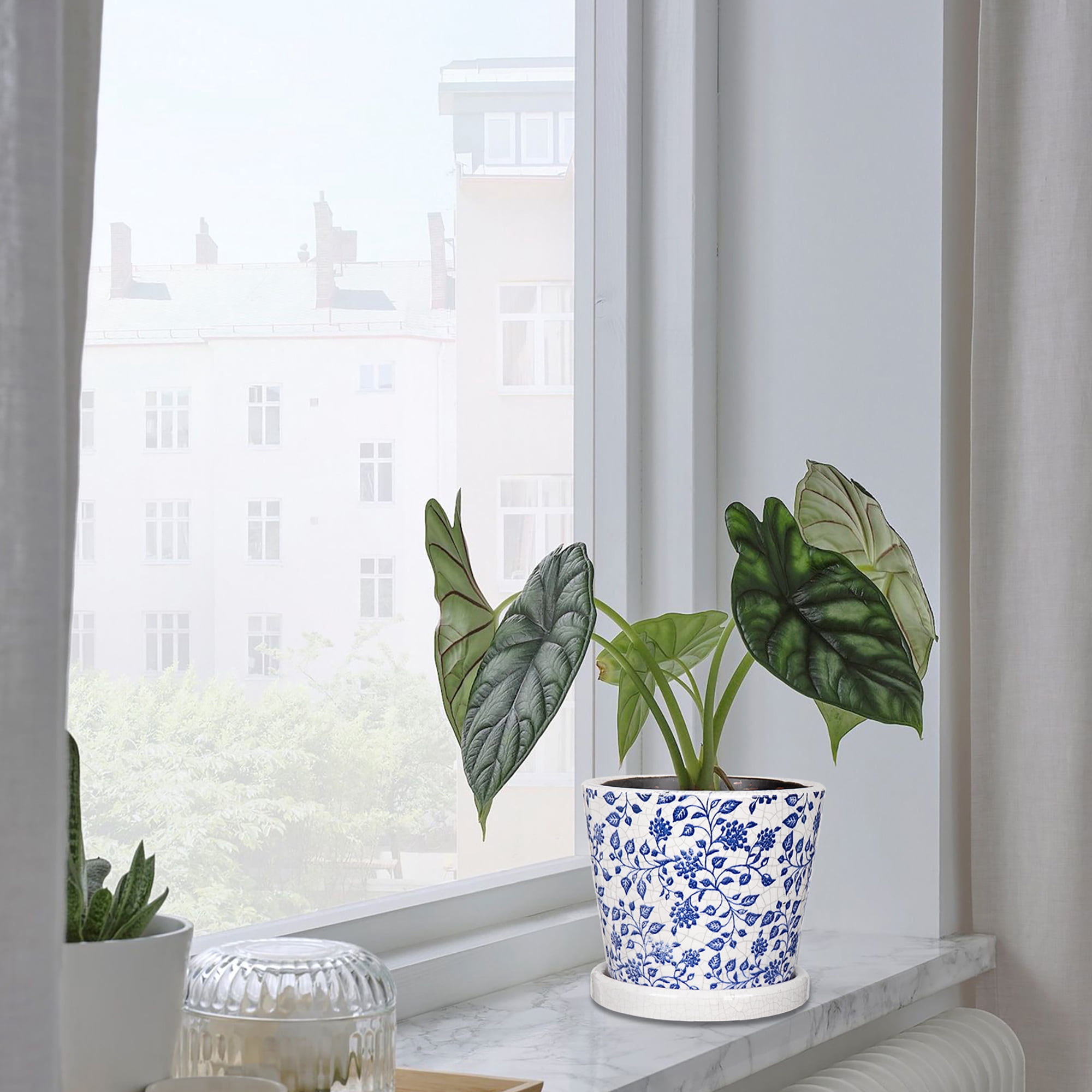 Set of 3 Decorative Plant Pots Blue and White Flower Pot, Round Ceramic Planters for Indoor Plants Pots with Drainage Hole Saucers, Retro Planter Pot for Succulents Cactus Outdoor Garden, 5.5/5.7 Inch