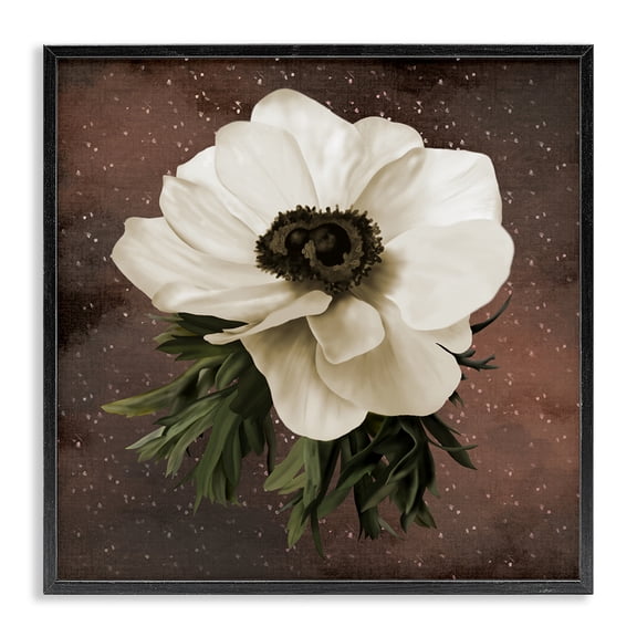 Stupell Industries Transitional Anemone on Brown Black Framed Giclee Art, 12 x 12, by Jennifer Stith