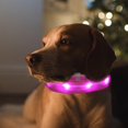 thumbnail image 3 of Collar Para Perro Con LED A Batería, Collar De Nailon Con Brillo Intermitente L Rosa SM SunniMix Collar luminoso, 3 of 8
