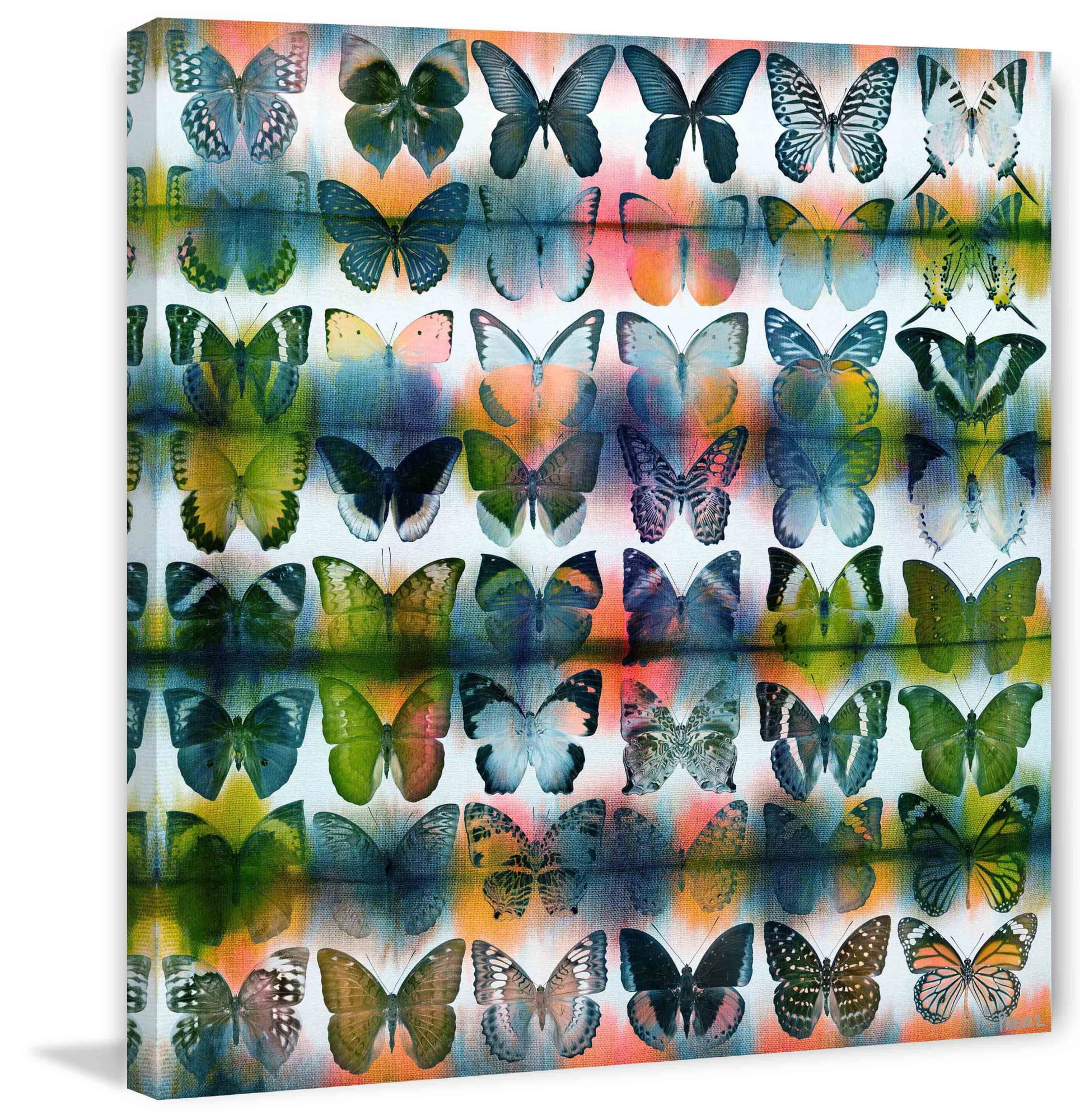 Parvez Taj Butterflies Squared Art Print on Premium Canvas