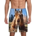 thumbnail image 2 of Picia Close-Up Curious Squirrel Pajama Shorts for Men, Men's Pajama Bottoms, Sleepwear,Short Pajama Pants-Small, 2 of 9