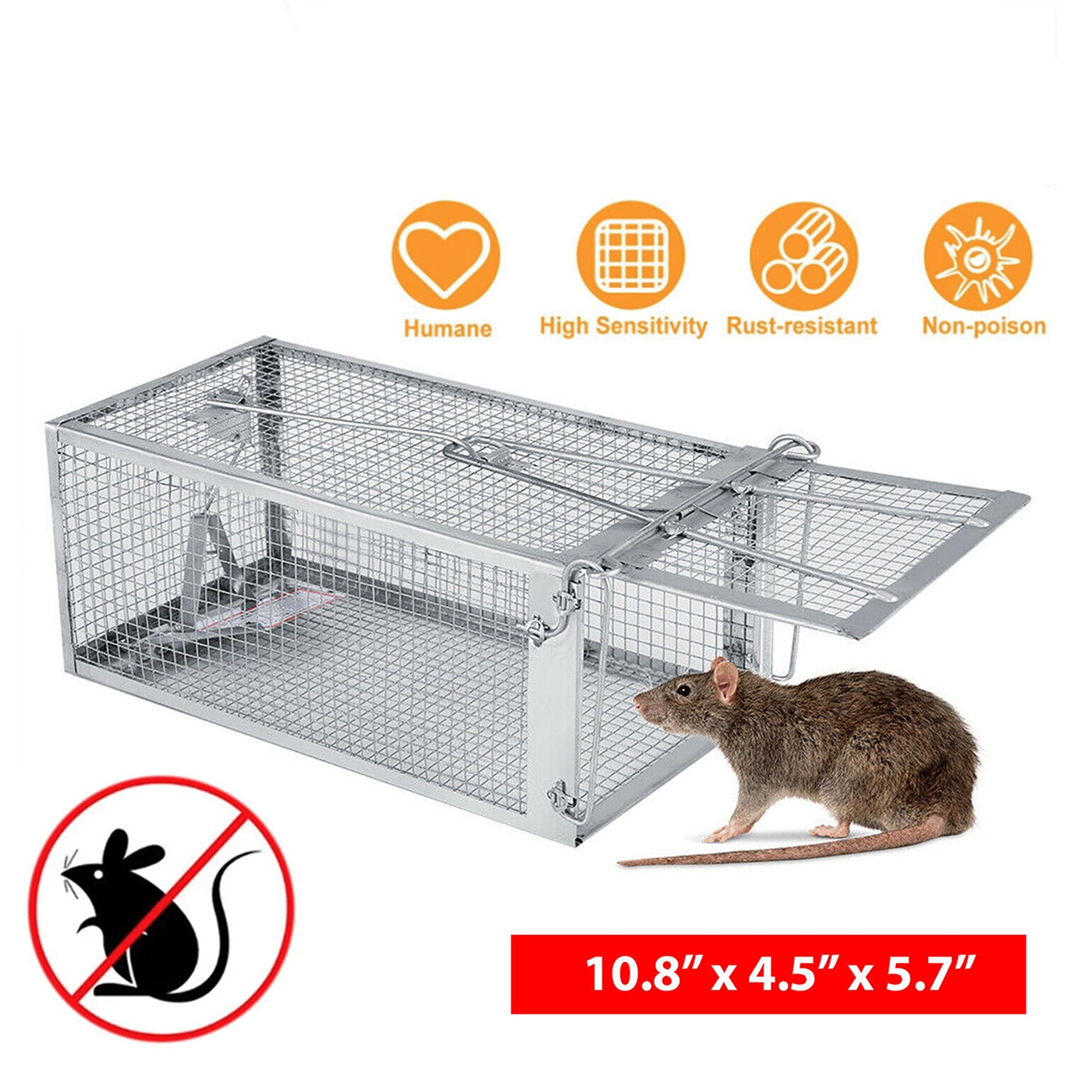 Cisvio Rat Trap Cage Humane Live Rodent Trap Cage Mouse Control Bait Catch  That Work for Indoor and Outdoor Small Animal D0102HP348G - The Home Depot