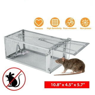 iMounTEK Walk The Plank Humane Rodent Mouse Rat Trap Auto Reset Mice  Catcher Tool,Natural Wooden Auto Reset Humane Bucket Rat Trap without  Poison 