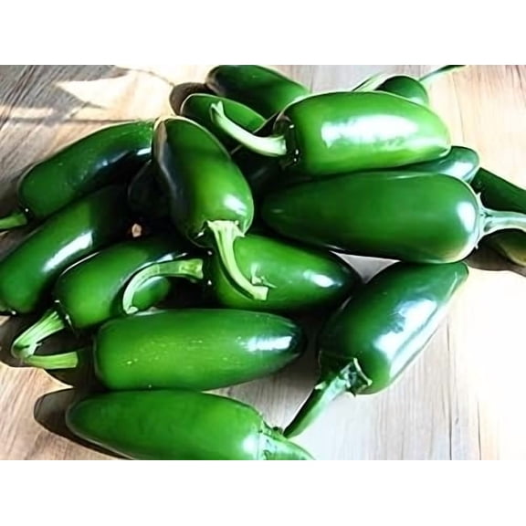 Pepper Hot Jalapeno M Great Heirloom Vegetable by Seed Kingdom 1 OZ Seeds