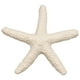 thumbnail image 1 of 15 Piezas De Color Cremoso Lápiz Estrellas Mar Para Decoración Bodas, Del Hogar y Proyectos, 1 of 9