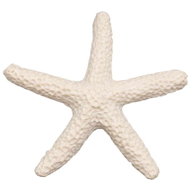 15 Piezas De Color Cremoso Lápiz Estrellas Mar Para Decoración Bodas, Del Hogar y Proyectos