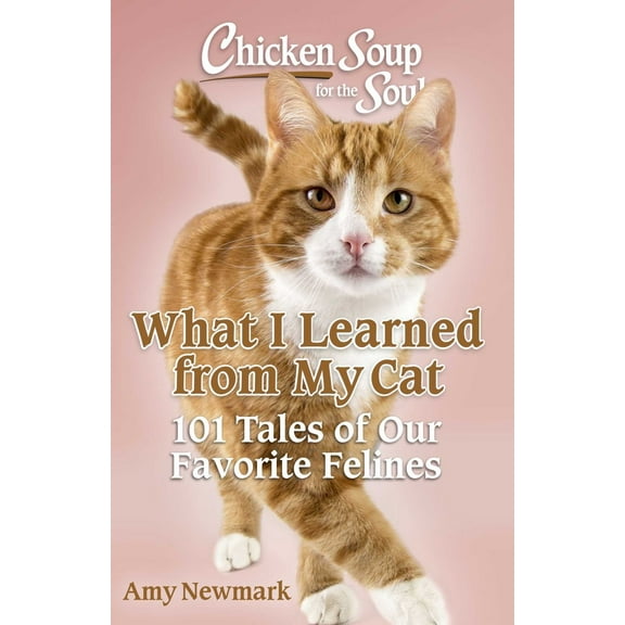 Chicken Soup for the Soul: What I Learned from My Cat: 101 Tales of Our Favorite Felines (Paperback)