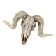 thumbnail image 4 of Cráneo de con Cuernos Escultura de Pared Animal de Taxidermia de Imitación para Colgar en para hogar, 4 of 9