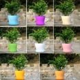 thumbnail image 5 of Maceta plástica de 8 piezas con platillo, maceta de color interior y exterior, 5 of 5