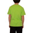 thumbnail image 3 of STARTER Mens Seattle Seahawks Graphic T-Shirt, sse, L, 3 of 5