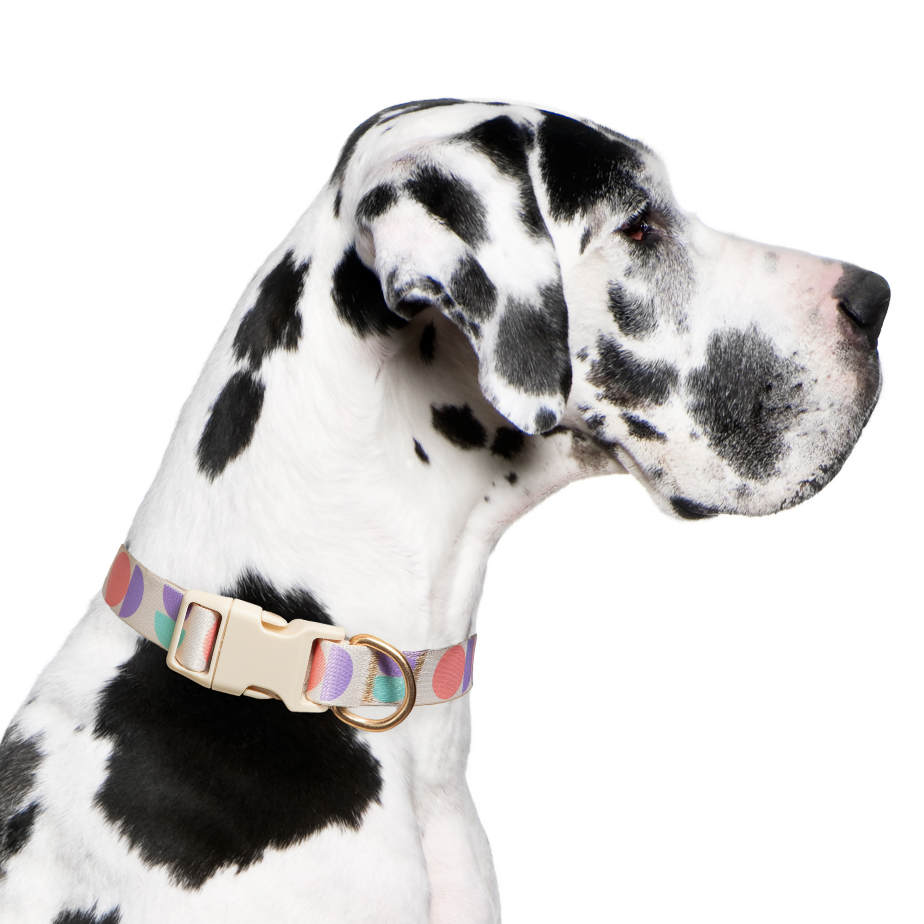 Vibrant Life Abstract Geometric Fashion Dog Collar, Multicolor, XL