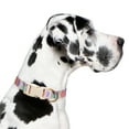 thumbnail image 5 of Vibrant Life Abstract Geometric Fashion Dog Collar, Multicolor, XL, 5 of 8