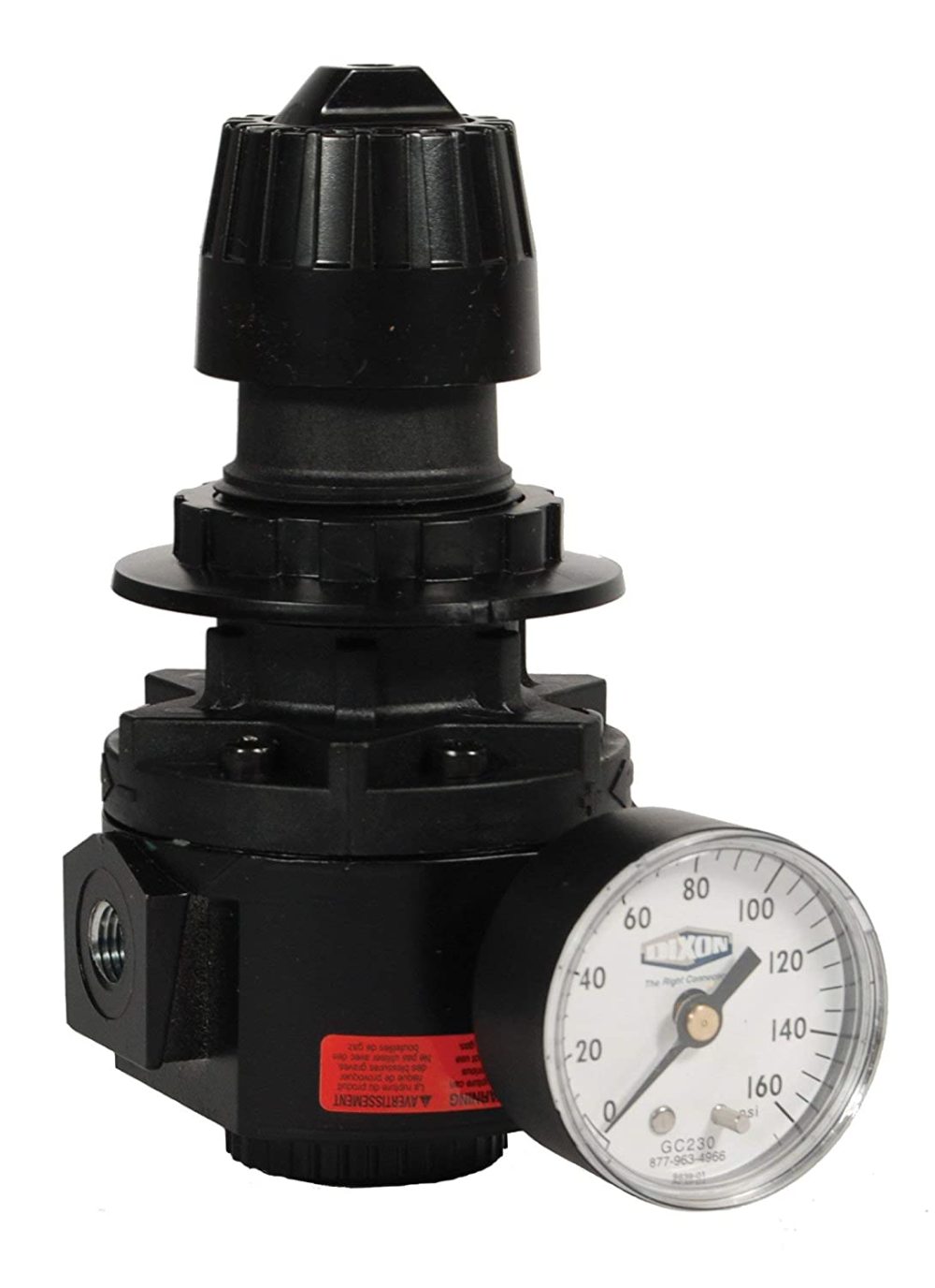 Dixon Valve And Coupling 1/2 In. 300 Psi Standard Regulator With Gauge