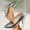 Silver, variant on Women's Wide Width Metallic Crocodile Print Pumps, Pointed Toe Stiletto Heel Dress Shoes, Comfortable Slip-On Heels for Party & Office, Gold/Silver