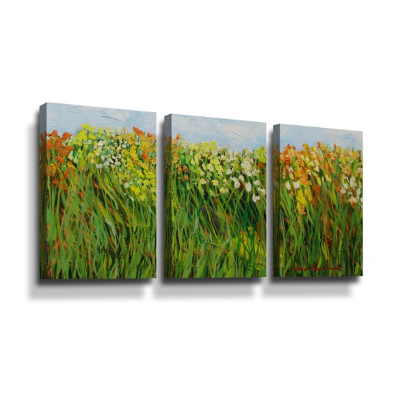 Artwall Row of Beauty, 3 Piece Gallery Wrapped Canvas Set by Allan Friedlander