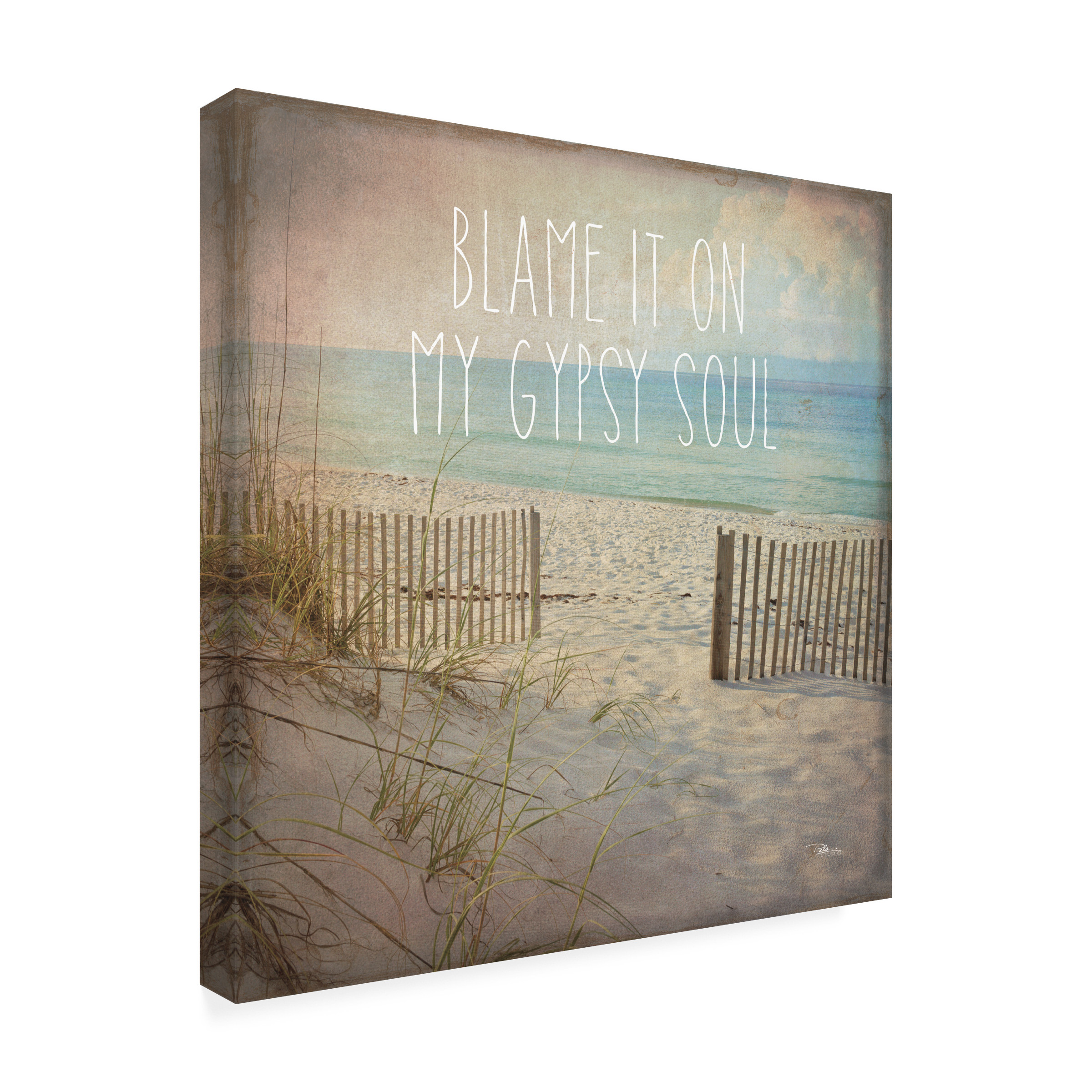 Trademark Fine Art 'My Gypsy Soul I' Canvas Art by Pela Studio