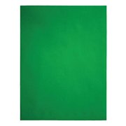 Angle View: Quality Park Clasp Envelopes, 9 x 12 inches, Green, Pack of 10 (38735)