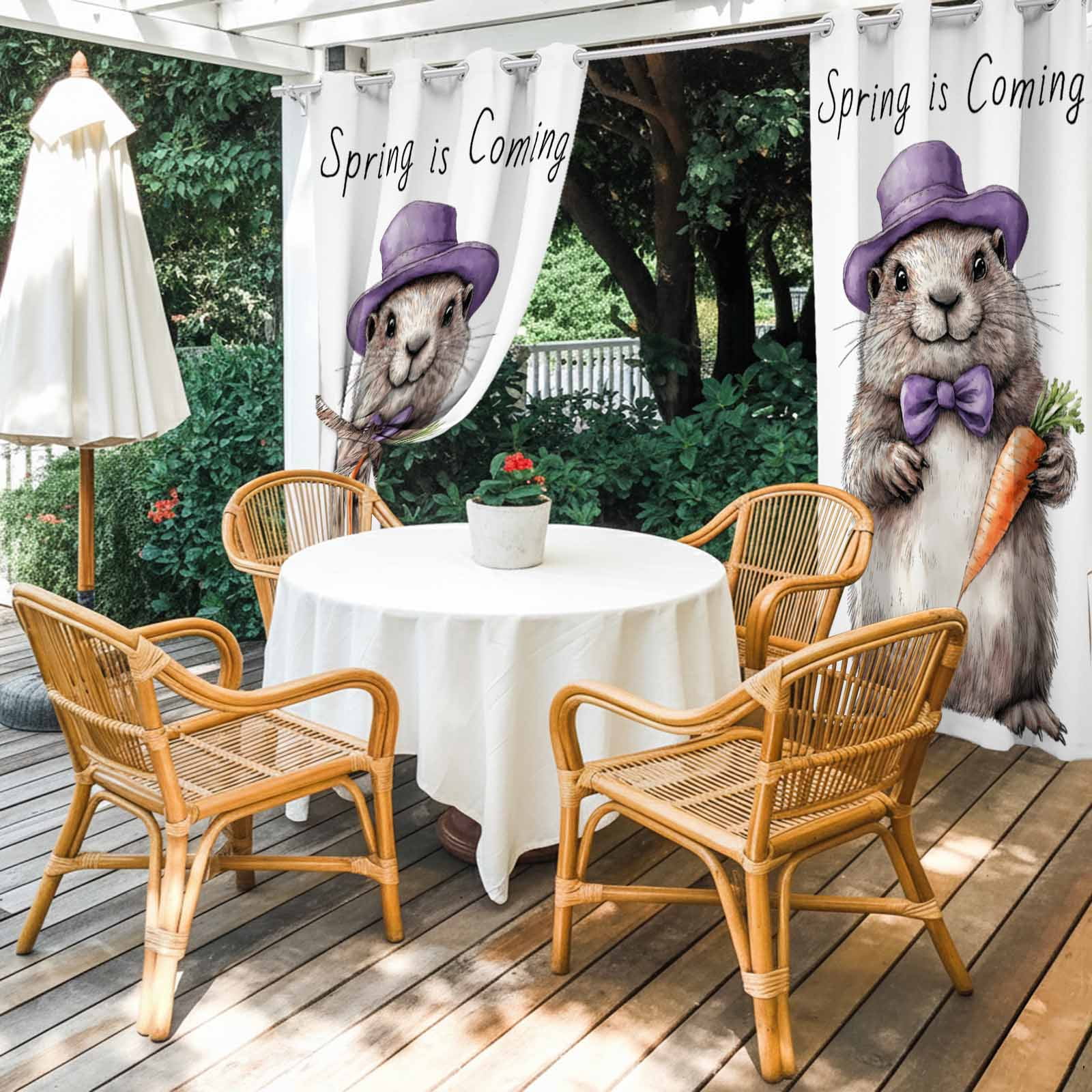 Outdoor Curtains for Patio Waterproof, Groundhog Day Windproof Pravicy Outside Porch Blackout Curtain, Spring Cute Grey Animals Carrot Sun Blocking Grommets Curtains for Cabana Gazebo 54"x108"